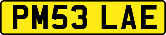 PM53LAE