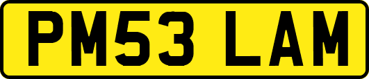 PM53LAM