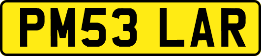 PM53LAR