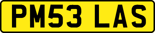 PM53LAS