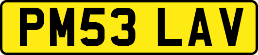 PM53LAV