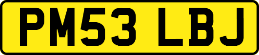 PM53LBJ
