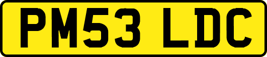 PM53LDC