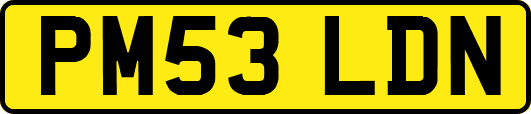 PM53LDN
