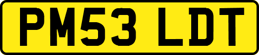 PM53LDT