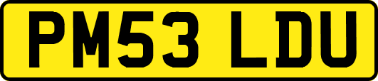 PM53LDU