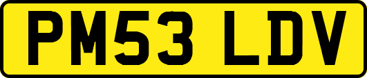 PM53LDV