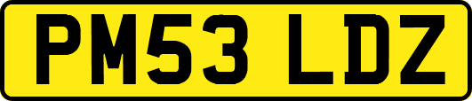 PM53LDZ