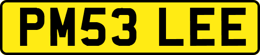 PM53LEE