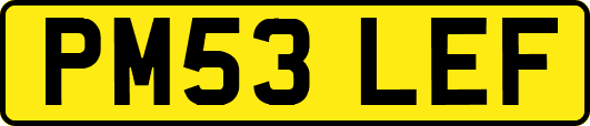 PM53LEF