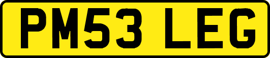 PM53LEG