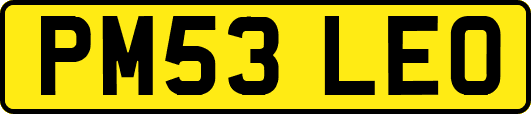 PM53LEO