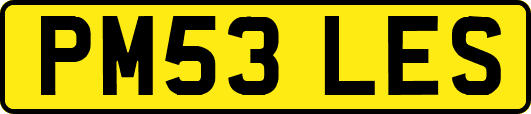 PM53LES