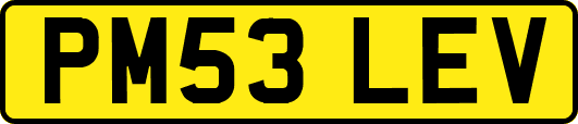 PM53LEV