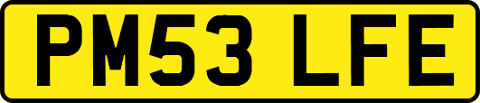 PM53LFE