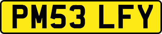 PM53LFY