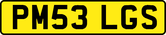 PM53LGS