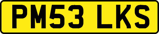 PM53LKS