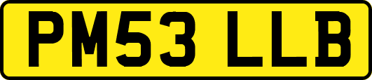 PM53LLB