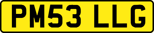 PM53LLG