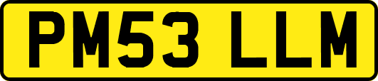 PM53LLM
