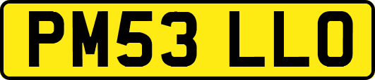 PM53LLO