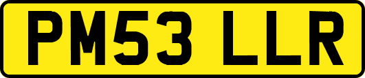 PM53LLR