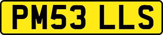 PM53LLS