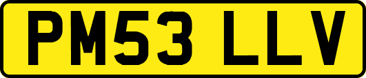 PM53LLV