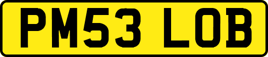PM53LOB