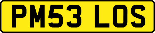 PM53LOS