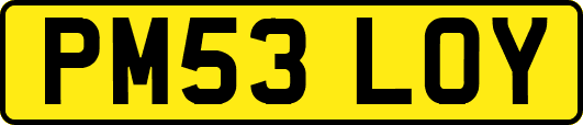 PM53LOY