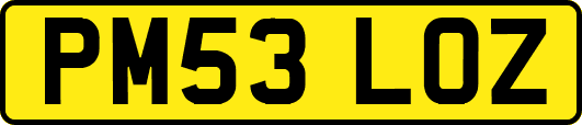 PM53LOZ