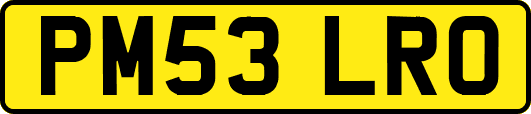 PM53LRO