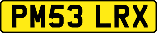 PM53LRX