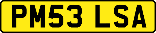 PM53LSA