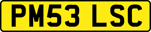PM53LSC