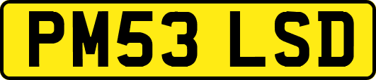 PM53LSD