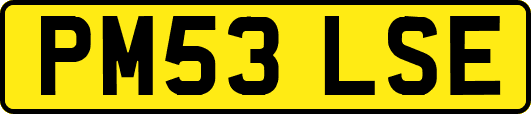 PM53LSE