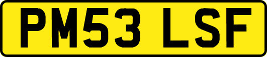PM53LSF