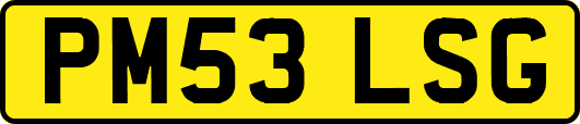 PM53LSG