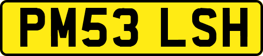 PM53LSH