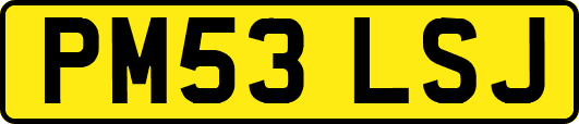 PM53LSJ