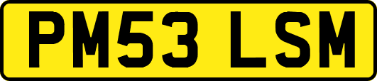 PM53LSM