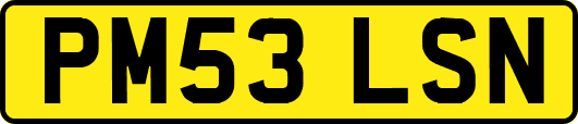 PM53LSN