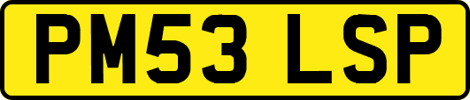 PM53LSP