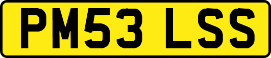 PM53LSS