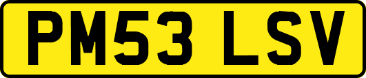 PM53LSV
