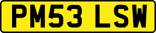 PM53LSW