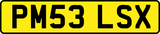 PM53LSX